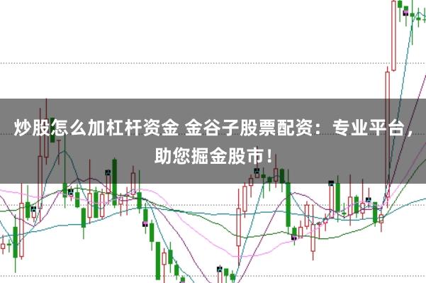 炒股怎么加杠杆资金 金谷子股票配资:专业平台,助您掘金股市!