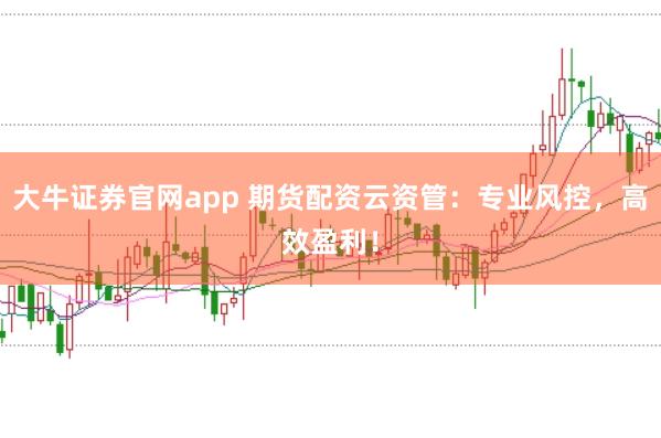 大牛证券官网app 期货配资云资管:专业风控,高效盈利!