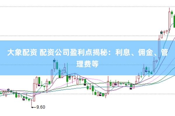 大象配资 配资公司盈利点揭秘：利息、佣金、管理费等
