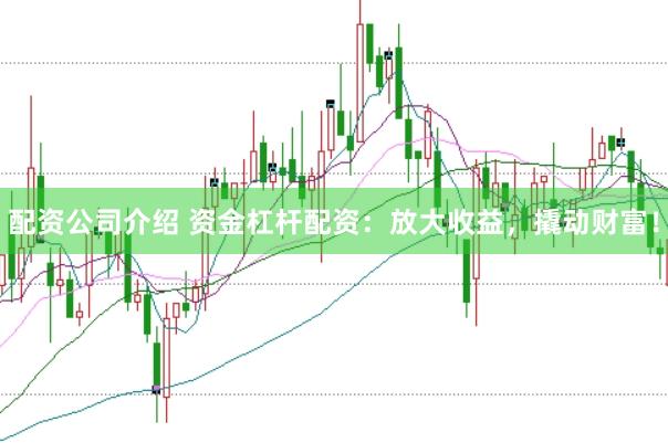 配资公司介绍 资金杠杆配资：放大收益，撬动财富！