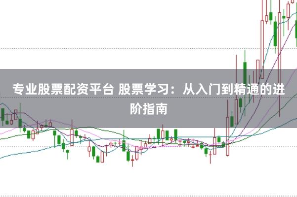 专业股票配资平台 股票学习：从入门到精通的进阶指南