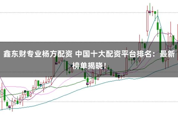 鑫东财专业杨方配资 中国十大配资平台排名：最新榜单揭晓！