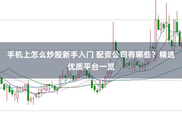 手机上怎么炒股新手入门 配资公司有哪些?精选优质平台一览