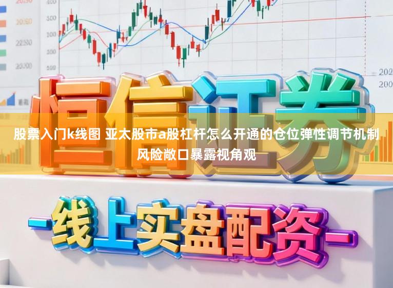 股票入门k线图 亚太股市a股杠杆怎么开通的仓位弹性调节机制风险敞口暴露视角观