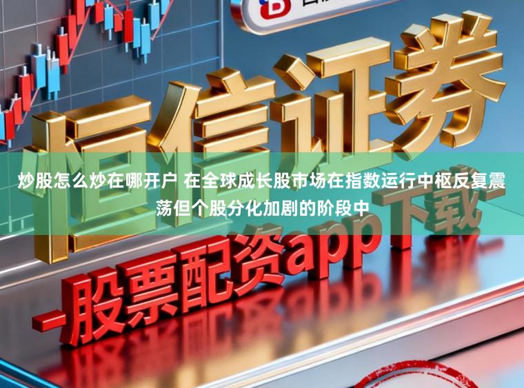 炒股怎么炒在哪开户 在全球成长股市场在指数运行中枢反复震荡但个股分化加剧的阶段中