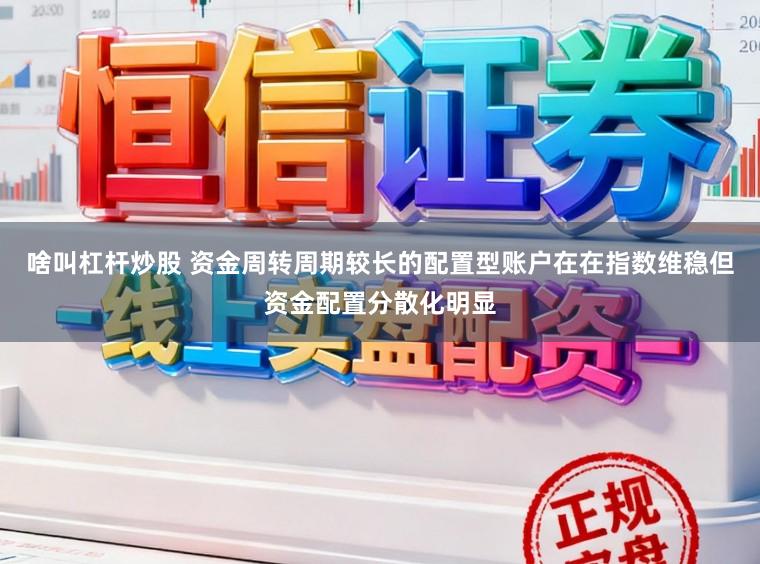 啥叫杠杆炒股 资金周转周期较长的配置型账户在在指数维稳但资金配置分散化明显